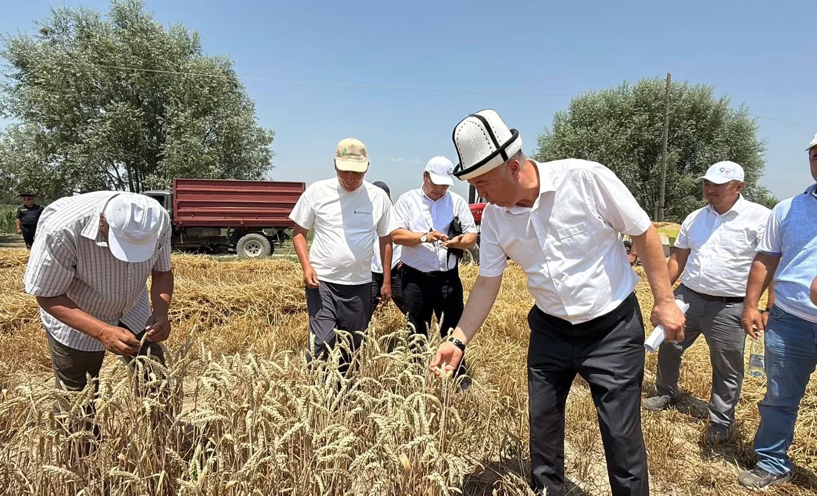 В Кыргызстане с начала года создано 65 сельхозкооперативов