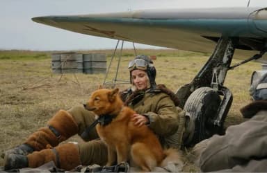 Фильм «Воздух» признан лучшим на кинофестивале стран ШОС в Китае