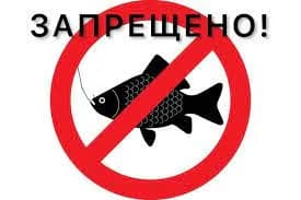 В Таласской области запретили любительскую и спортивную рыбалку