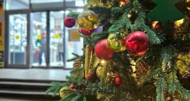 Новогодние каникулы продлили до 12 января 2026 года