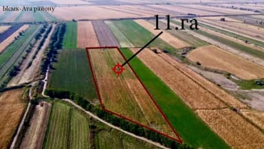 Государству возвращены 226 га сельхозземель в Чуйской области