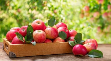 Кыргызские яблоки начнут поставлять в российские торговые сети
