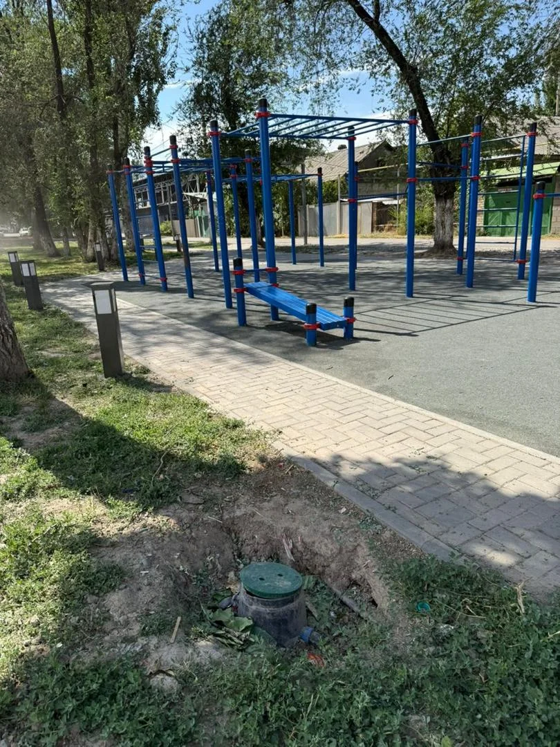Slide 6